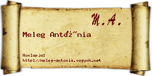 Meleg Antónia névjegykártya